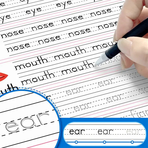 Ecstachio Reusable Practice Workbook